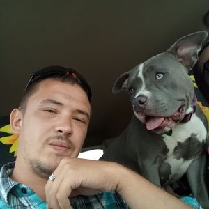 Meet your Posher, William